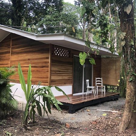 Ita Tiny House Disfruta & Trabaja En El Caribe! Apartment Puerto Viejo de Talamanca ภายนอก รูปภาพ