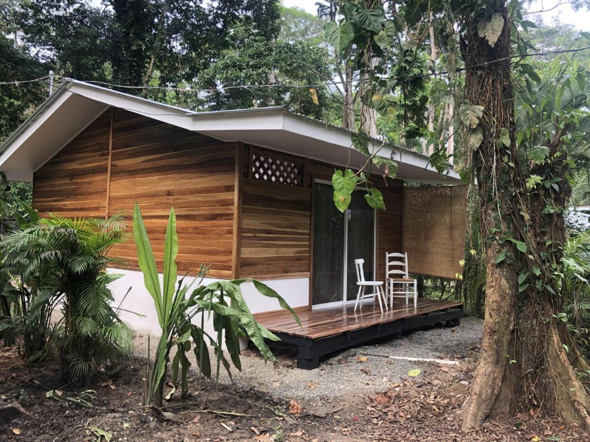 Ita Tiny House Disfruta & Trabaja En El Caribe! Apartment Puerto Viejo de Talamanca ภายนอก รูปภาพ